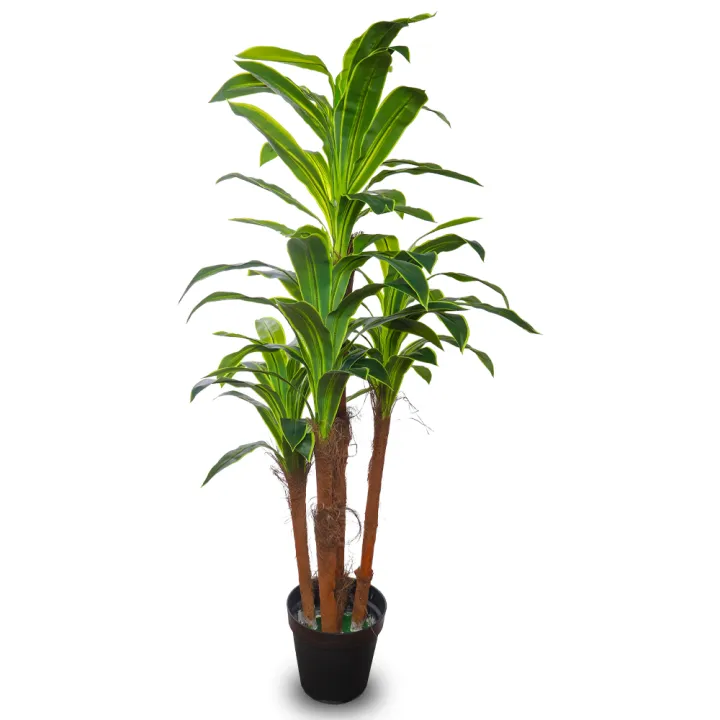 Imported%20artificial%20%20Dracaena%20Plant%20with%20black%20Planter%20-%20Image%203
