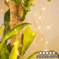 ClassyFairy LED Light String - 20 Feet - Golden. 
