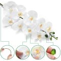 4Pcs 38Inch Artificial Real Contact Orchids Flowers 9Heads Latex Phalaenopsis Stems for DIY Wedding Centerpieces. 