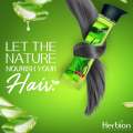 Anti Hair Fall Shampoo | Natural Blend of Aloe Vera, Tea Tree & Moringa Extracts | Strengthens roots and cleans scalp | 250ml Bottle | Product by Herbion Pakistan. 
