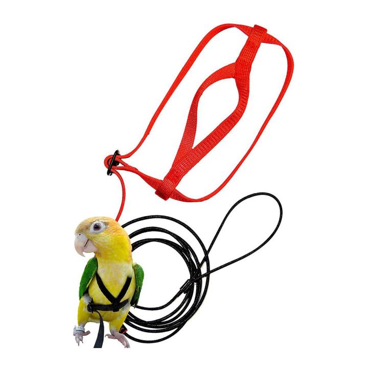 Pet Bird Harness and Leash,Adjustable Parrot Bird Harness Leash - Pet Anti-Bite Training Rope Outdoor Flying Harness and Leash(S)