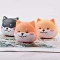 Cute Storage Box Contact Lens Case Portable Cartoon Contact Lens Kit Travel Plastic Holder Container Contacts Lenses Case. 