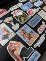SABRINA CARPENTER Premium Glossy Stickers 25pcs Pack ideal for journaling skateboard notebook mobile case. 