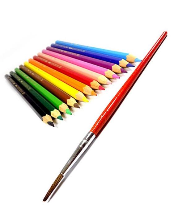 Pack of 12 Watercolour Pencils with Free Brush
