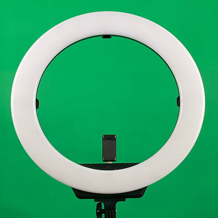 AFI R219 19″ LED Ring Light
