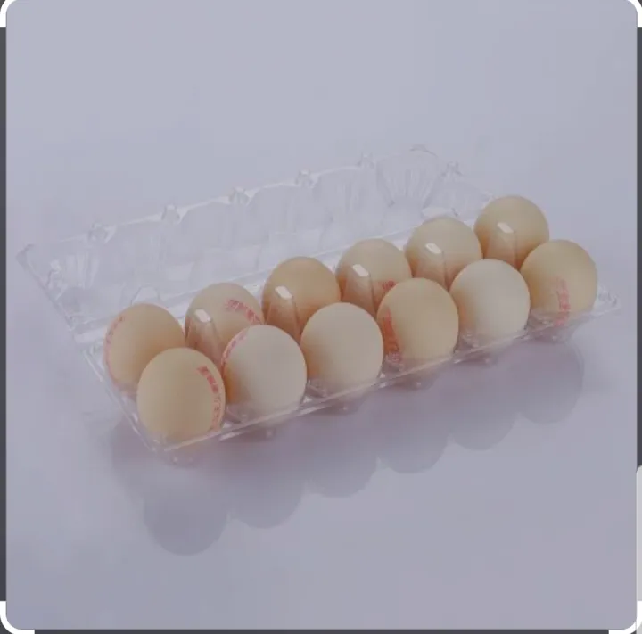 12%20Pack%20Egg%20Crates,%20Clear%20Plastic%20Eco-Friendly%2012-Cell%20Egg%20Carton%20Bulk,%20Holds%20Up%20to%2012%20Eggs%20Safely,%20Perfect%20for%20Family%20Pasture%20Farm%20Market%20Display%20-%20Image%202