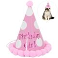 Pet Party Hat Decorative Birthday Hat Party Cone Hat For Pet Cat Dog Birthday Costume Cone Birthday Party Crown Hats Legendog. 