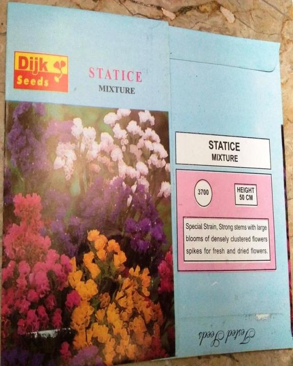 Statice%20Seeds%20Mixed%20Colour%20-%20Image%205