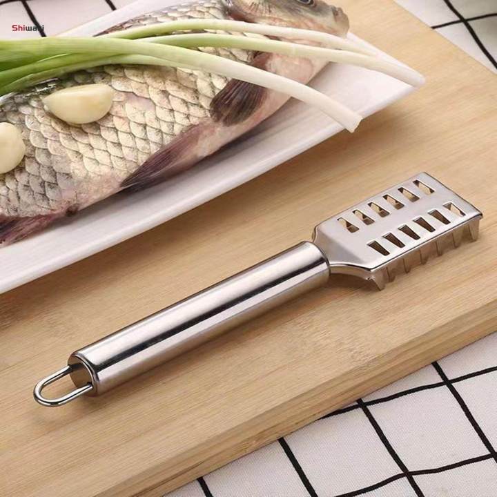 Fish%20Scales%20Remover%20Scale%20Tools%20Tool%20-%20Image%204