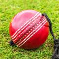 Hanging Ball for Hitting and Practice with Reaction String (Raised Seam and Threaded Seam), Pack of 1 Cricket Hanging Hard Ball for Bat Stroke for Kids Personal and Professional Use Cricket Practicing. 