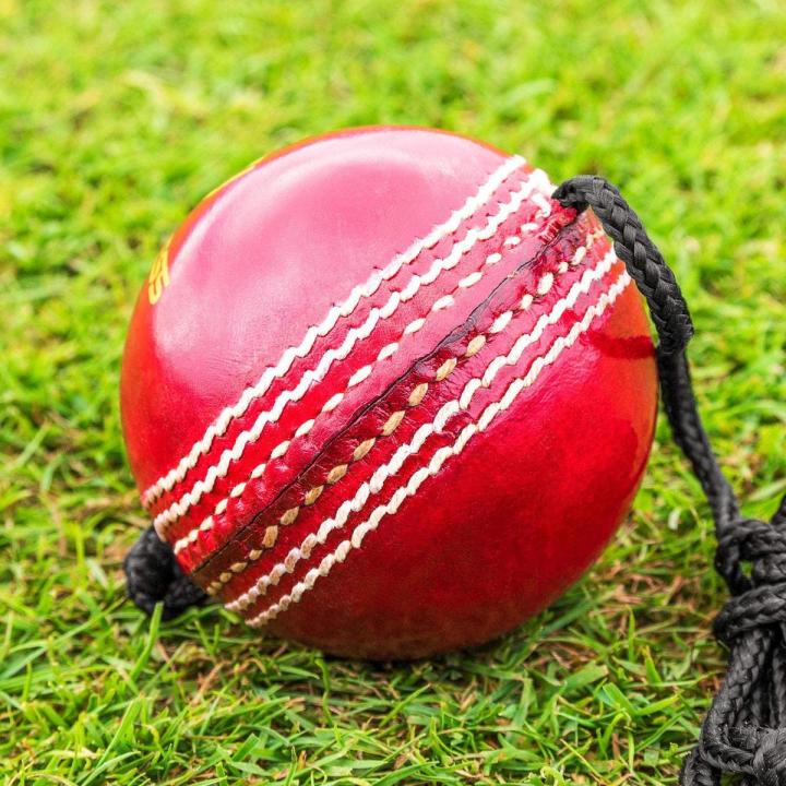 Hanging Ball for Hitting and Practice with Reaction String (Raised Seam and Threaded Seam), Pack of 1 Cricket Hanging Hard Ball for Bat Stroke for Kids Personal and Professional Use Cricket Practicing