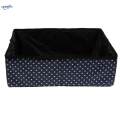 Cat Dark Blue. 