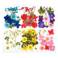 Dried Pressed Flowers for Resin Dry Leaves Bulk for Scrapbooking DIY Art Crafts. 