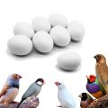 Dummy Eggs For Finch/Java Pack Of 2 By KS Pets Care. 