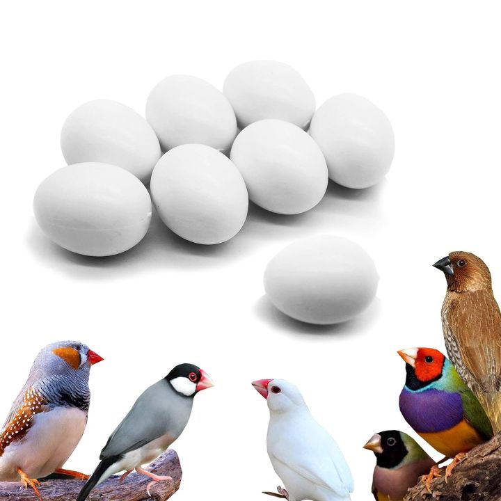 Dummy Eggs For Finch/Java Pack Of 2 By KS Pets Care