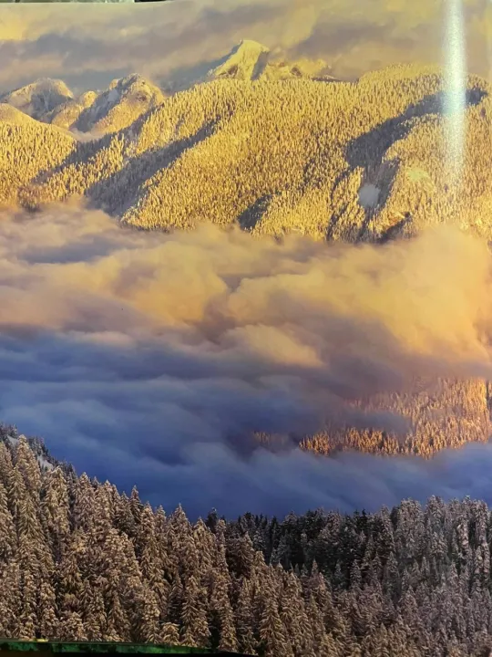 BBC%20Books%20Planet%20Earth%20-%20Image%205