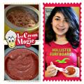 Imported Quality Ice Cream Magic Personal Manual Ice Cream Maker. 