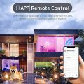 Avatar Smart Light Bulb, Alexa Bulbs WiFi LED  with Smart Life App, RGBCW Color Changing Lights, (E26 A19 8W). 