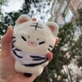 Kpop Idol Seventeen Hoshi Plush Dolls Stuffed Animal Tiger Dolls. 