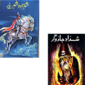 Dastan-e-Ameer Hamza Complete Set (1-10). 