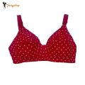 FairyShop Jersey Cotton Bra Non Padded 44 46 48 50 52 54 Pack of 1 - ZQV. 