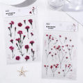 1Sheet Spring Flowers PET Stickers DIY Plants Stickers for Journal Diary Scrapbooking Decoration Album Decorative Stickers. 