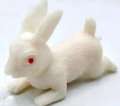 Soft Rubber rabbit Toy for Fun, Pranks, and Gag Gifts | Realistic Khargosh. 