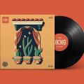 5 LP Vinyl Record + 5 Cover/Poster of Vinyl Record For Wall Decoration & DIY.. 