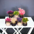 Artificial Flower 7 Piece Set Desktop Fake Plants Table Plastic Vase Fake Flower Wedding Christmas Decoration for Home Gift. 