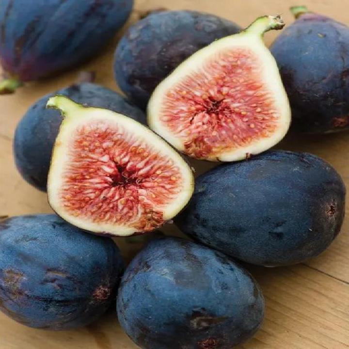 Fig Black Fruit Tree Seeds