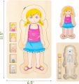 WOODEN FUN Human Body Puzzles for Kids 3-5,Wooden Montessori Anatomy Play Set, Human Body Model Puzzle for Preschoolers and Kids Ages 3+ (Girls)36 pcs. 