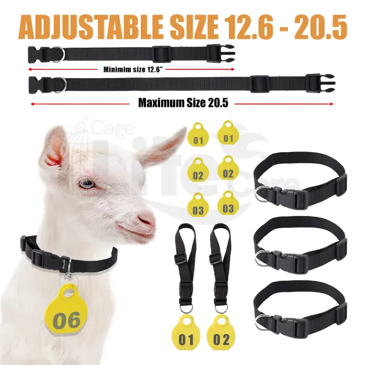 Goat%20Neck%20Tags%20+%20Collar%20Set%20(%20Plan%20Tags%20no%20Numbering%20Mention%20)%20Kisi%20Bhi%20Marker%20Se%20Ap%20Number%20Lihk%20Sahkte%20Hain%20-%20Image%202