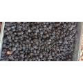 kashmiri Black Amlok (Date palm) 800 gm. 
