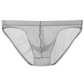 Man Panties Transparent Panties Thin Mesh Underwear Temptation Breathable Briefs. 