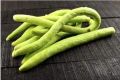 Kakri Tar (Armenian Cucumber ) Summer vegetable Seeds. 