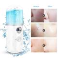 Mist Sprayer, Portable Small Electric Nano Facial Water Cold Mist Spray Steamer Handheld Mister for Outdoor Travel Face Skin Care SPA. 