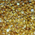 Un Hulled Red Proso Millet, Cheena, چینڑاں، For Weight watchers, Slimmers, Diabetic food, food for Heart Patients.. 
