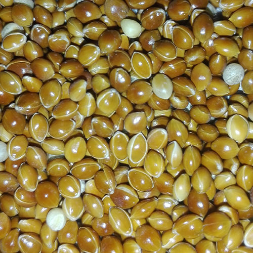 Un%20Hulled%20Red%20Proso%20Millet,%20Cheena,%20%DA%86%DB%8C%D9%86%DA%91%D8%A7%DA%BA%D8%8C%20For%20Weight%20watchers,%20Slimmers,%20Diabetic%20food,%20food%20for%20Heart%20Patients.%20-%20Image%203