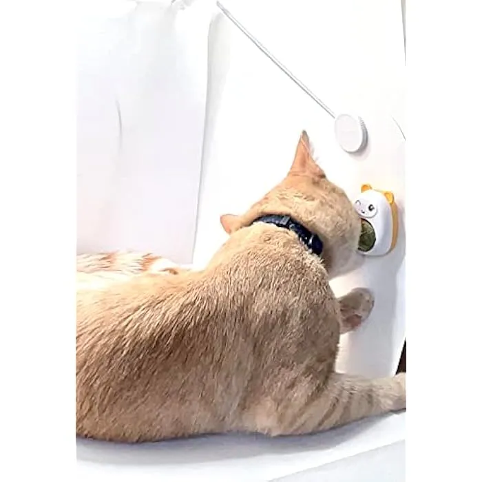 Cat%20Face%20Catnip%20Wall%20Mint%20Ball%20For%20Cat%20Interactive%20Toys%20Edible%20Lollipop%20Balls%20Snack%20Healthy%20Rotatable%20Funny%20Cat%20Treats%20Kitten%20Toy%20PS335%20PS-GR%20-%20Image%203