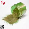 Color Changing Chameleon Powder Pigments for Painting Artwork Molds making Resin Projects Nail Art Slime making 1g DesireOutlet. 