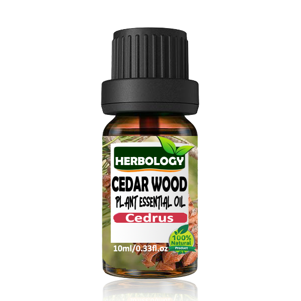 Cedarwood Essential Oil 100% Pure Therapeutic Grade, Steam Distilled, 100% Pure, Vegan, Aromatherapy, Diffuser, Ceramic Diffuser, Pure, Concentrated, EO, Aroma Diffuser