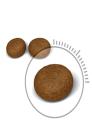 Royal Canin - Hair & Skin Care- Dry Cat Food - 2 kg. 