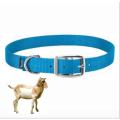 Goat Sheep Neck Collar - Adjustable. 