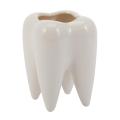 Tooth Shape White Ceramic Flower Pot Modern Design Planter Teeth Model Mini Desktop Pot Creative Gift(without plants). 