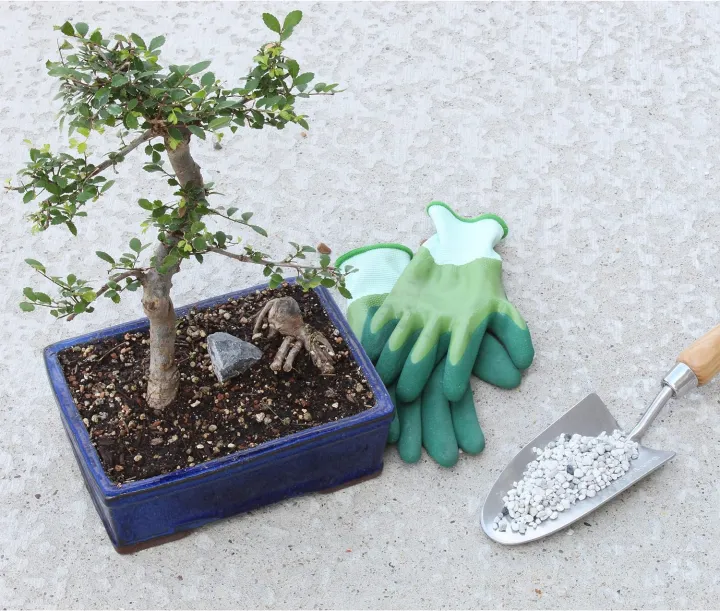 Pumice%20stone%202mm-6mm%20washed%20for%20cactus%20-%20Succulent%20-%20Bonsai%20and%20Plants%20Soil%20Mix%20-%20Image%205