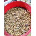 50gms-methi dana-weight loss. 
