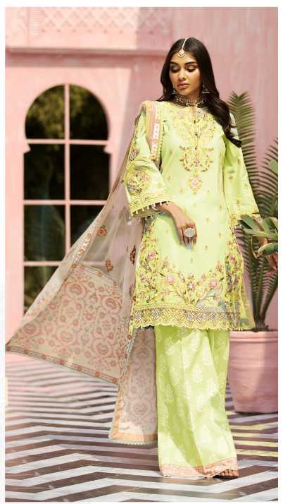 Multani Handmade Embroidered Dresses