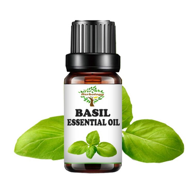 Herbology Basil (Tulsi) Essential Oil 100% Pure Therapeutic Grade, Steam Distilled, 100% Pure, Vegan, Aromatherapy, Diffuser, Ceramic Diffuser, Pure, Concentrated, EO, Aroma Diffuser