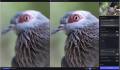 Topaz Sharpen Al : An image sharpening software program that can sharpen your photos .(Lifetime Activated). 