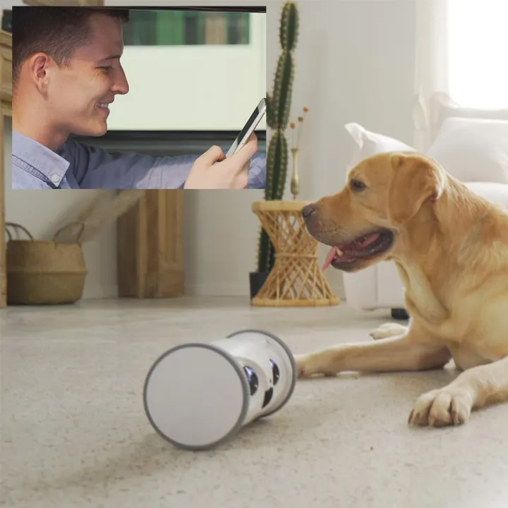 SKYMEE%20Owl%20Robot%20Toy%20for%20Dogs%20:%20Movable%20Full%20HD%20Pet%20Camera%20with%20Treat%20Dispenser,%20Interactive%20-%20Image%207